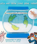 Hatch And Raise Real Brine Shrimp Aquarium Kit For Kids 6 Plus Easy Care Sea Creatures With Customizable Tank showing globe design.