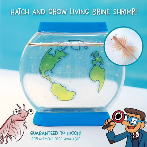 Hatch And Raise Real Brine Shrimp Aquarium Kit For Kids 6 Plus Easy Care Sea Creatures With Customizable Tank showing globe design.