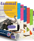 7 Poster Animal Groups Set For Science Classroom Learning Mammals Birds Amphibians Invertebrates Reptiles Fish And Biological Kingdom Classification 12 By 18 Inches Made In USA Perfect K12 Kid Friendly Teacher Decor on display