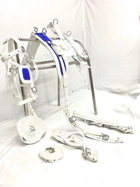Nylon Horse Driving Harness For Single Horse Cart Pony, Blue And White, Chrome Plated Buckles, Fully Padded Comfort Fit