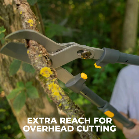 Heavy Duty Extendable Lopper with 25 to 37 Inch Telescoping Handles cutting a tree branch