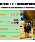 Three In One Carpenter Bee Holes Repair Kit with plugs, stickers, brush, dowel, carpenter bee on wood in background.