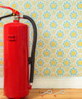 30 Pack Fire Extinguisher Lock Pins Tamper Seals Security Tags For Safety Checks And Anti Theft Protection To Stop Accidental Use In Any Biz Or Home with red fire extinguisher and reusable pins.