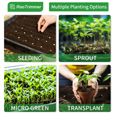 Shallow 1020 Nursery Trays For 200-Cell Plug Seedlings, 1.3 Inch Depth, No Holes, Microgreen Germination Ready, 10 Pack, Built To Hold, Carry, And Move Seedlings With Ease