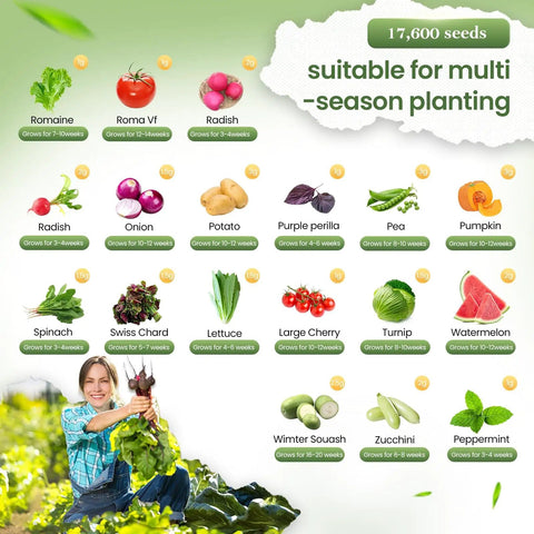 Survival Vegetable Seeds Vault Kit With 36 Heirloom Varieties And Over 17,600 Non GMO Seeds suitable for multi-season planting