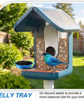 Three In One Bird Nutrition Set With Water Fountain, Fruit Spike And Jelly Tray Feeder in backyard with bird feeding