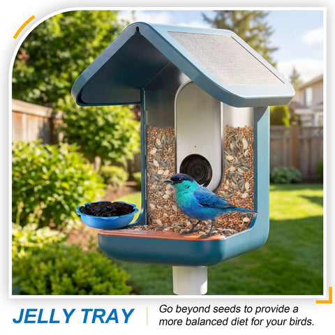 Three In One Bird Nutrition Set With Water Fountain, Fruit Spike And Jelly Tray Feeder in backyard with bird feeding