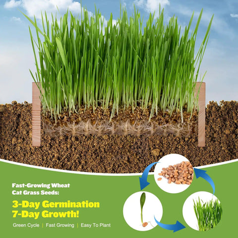 Indoor Cat Grass Kit 3 Pack With Seeds, Coconut Coir Soil Discs, Wooden Planter And Mini Tools For Easy Grow No Green Thumb Needed