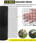 36 Inch By 50 Foot 16 Gauge Vinyl Coated Welded Hardware Cloth Mesh For Fence Garden And Home Improvement Projects Tough As Nails Built To Last With Rust Resistant Galvanized Steel And Double Coating Easy To Cut With Scissors Black Finish shown rolled with 1.5 inch square mesh detail.