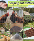 Chickens behind 1/4 inch hot dipped galvanized wire mesh roll used for yard screening and pest protection.