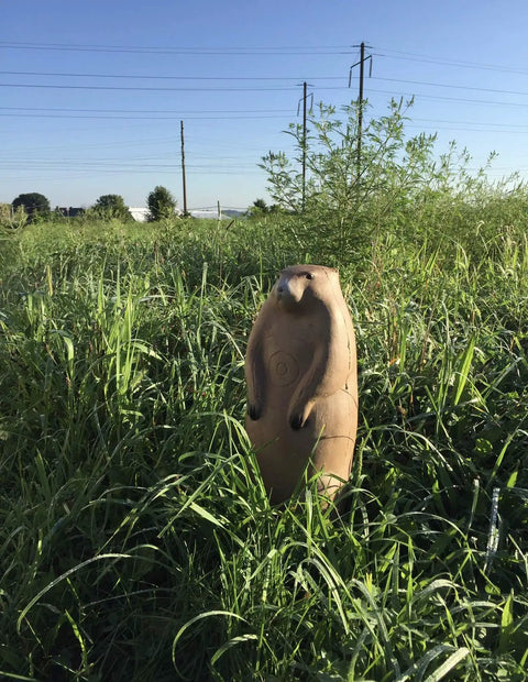 Real Wild 3D Groundhog Archery Target For Realistic Hunting Practice in tall grass