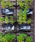 Vertical garden with 50 Pack Quick Connect Quarter Inch Drip Irrigation Tee Connectors Universal Fittings for tubing system