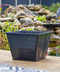 Square Mesh Pond Plant And Flower Baskets Set For Aquaponics And Hydroponics Slotted Plastic Net Cup Pots In 9By9By6 Size