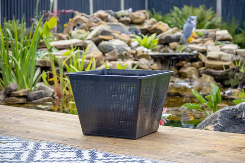 Square Mesh Pond Plant And Flower Baskets Set For Aquaponics And Hydroponics Slotted Plastic Net Cup Pots In 9By9By6 Size