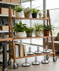 Ditch Those Dang Office Chair Casters With This 5 Pack Of Low Profile Bell Glides on a wooden shelf with plants.