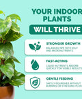 Close-up of a healthy indoor plant thriving, illustrating benefits of liquid plant food for lush growth and nourishment.