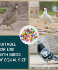 Colorful Numbered Bird Leg Bands 100 Pcs Reusable Half Open Rings For Birds Of The Same Size Poultry Parrots Doves 8mm Size