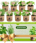 All In One 9 Herb Indoor Window Garden Kit For Moms And Home Cooks With Seeds Pots Soil Pruning Shears And Markers Non GMO