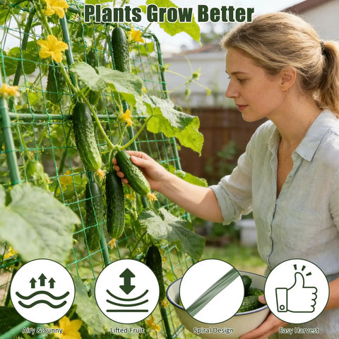 Woman harvesting cucumbers on 63 inch tall U shape cucumber trellis for raised beds, heavy duty steel with PE coated finish.