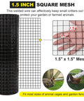 24 Inch By 50 Foot One And A Half Inch Hardware Cloth 16 Gauge Black Vinyl Coated Welded Fence Mesh For Home And Garden detail view