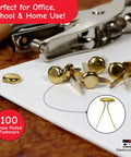 Brass Plated Round Head Fasteners With 1 Inch Shank And 10 Mm Head, 100 Pack, displayed on a desk with hole punch tools.