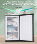 Effortless 3.6 Cu Ft Upright Freezer Glossy Silver showing adjustable temperature settings and interior storage.