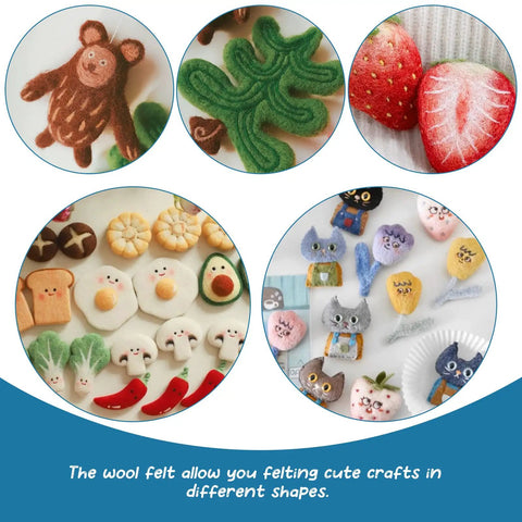 Needle Felting Starter Kit With Exquisite Green Storage Bag 18 Color Wool Roving Set for felted animal and food crafting.