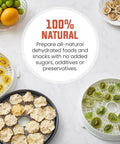 Top Shelf Digital Food Dehydrator Featuring Five Collapsible Trays With Smart Temperature Controls And Built In Timer For Hella Smooth Even Airflow Drying Tech All Season Long with dehydrated fruits on trays.