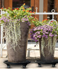 Two large planters on 18 Inch Round Plant Caddy With Wheels Heavy Duty Metal Plant Dolly for indoor outdoor use, rust-proof black tray.