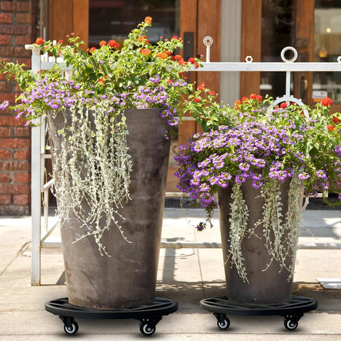 Two large planters on 18 Inch Round Plant Caddy With Wheels Heavy Duty Metal Plant Dolly for indoor outdoor use, rust-proof black tray.