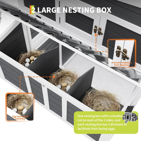 56 Inch Large Chicken Coop With Two Nesting Boxes, interior view showing lockable compartments and eggs in sections.