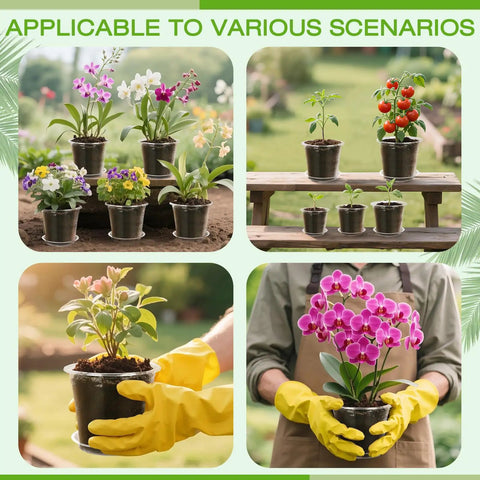 Clear Nursery Pots With Drainage Trays, 25 Pack Plastic Pots For Plants, Five Sizes 3 Inch, 4 Inch, 5 Inch, 6 Inch, 7 Inch shown with plants