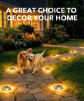 8 Pack Solar Driveway Lights Outdoor With Dual Color Modes Warm White And Cool White Waterproof LED Marker Lights illuminate a garden path.