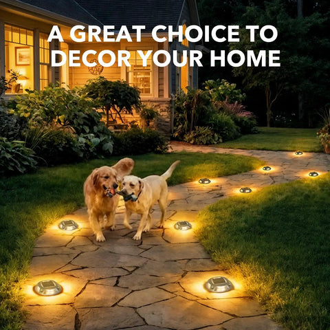 8 Pack Solar Driveway Lights Outdoor With Dual Color Modes Warm White And Cool White Waterproof LED Marker Lights illuminate a garden path.