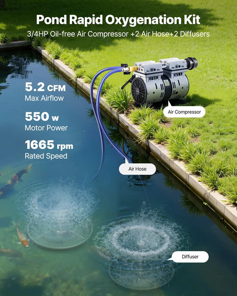 5.2 CFM Pond Aeration Kit For 1-3 Acre Lakes With Three Quarter HP Compressor, Two Diffusers And 100 Ft Weighted Tubing in use by a pond, showing active diffusers creating bubbles in water, air compressor with attached hoses visible.