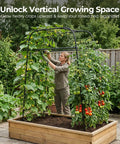 Heavy Duty Garden Arch Trellis For Climbing Plants With Screw Fixation, Rustproof Steel Frame Stands 83 Inches Tall in use