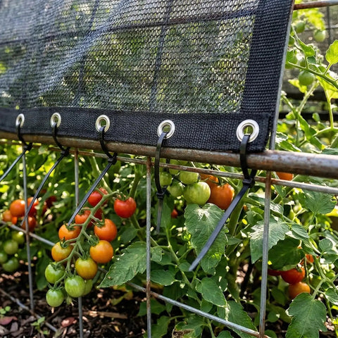 50 Percent Shade Cloth 8 Ft By 16 Ft Sun Shade Netting With Durable HDPE Material and Heavy Duty Grommets in garden usage