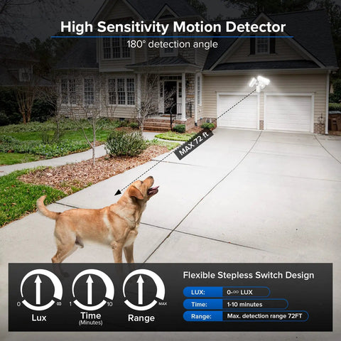 Dog in yard with No Nonsense 36W LED Outdoor Flood Light With Motion Sensor illuminating driveway, 72ft range