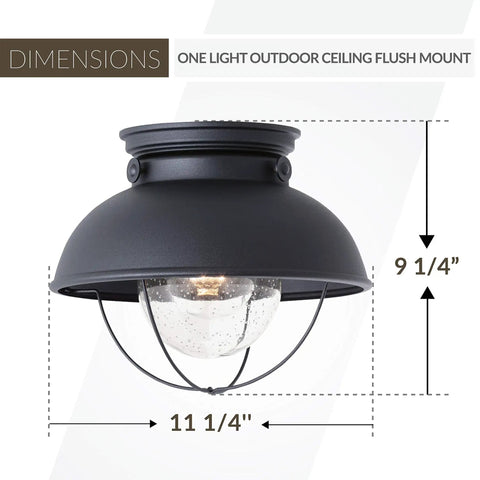 Sebring 8869-12 Outdoor Ceiling Flush Mount Light in Black Finish, one light, dimensions 11 1/4" by 9 1/4", wet location rated.