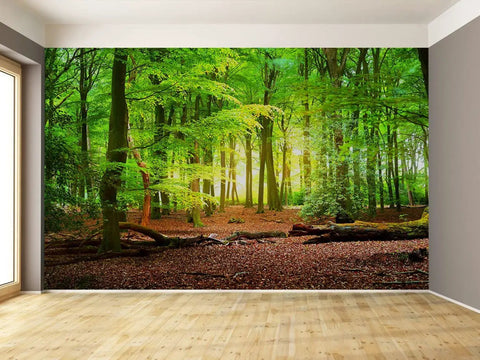 Forest Wall Murals Nine Piece Landscape Tree Wallpaper Set For Bedroom Living Room And Kids Room Decor 195 By 120 Inches