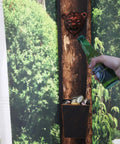 Rugged Cast Iron Bear Head Wall Mounted Bottle Opener With Antique Copper Screws And Built In Cap Catcher For Popping Cold Brews On Your Patio Or Man Cave, mounted on a wood post.