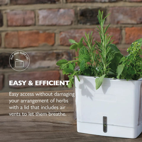 Fresh Herb Keeper For The Fridge With Flip And Slide Lid Acrylic Storage For Herbs And Veggies That Stay Crisp Up To 10 Days