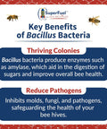 Probiotic Bee Food Patties For Strong Hives Higher Honey Yield And Real Nectar Nutrition Winter Feed For Dearth And Stress Periods 30 Bars text on benefits of Bacillus bacteria with bee graphics.