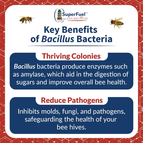 Probiotic Bee Food Patties For Strong Hives Higher Honey Yield And Real Nectar Nutrition Winter Feed For Dearth And Stress Periods 30 Bars text on benefits of Bacillus bacteria with bee graphics.