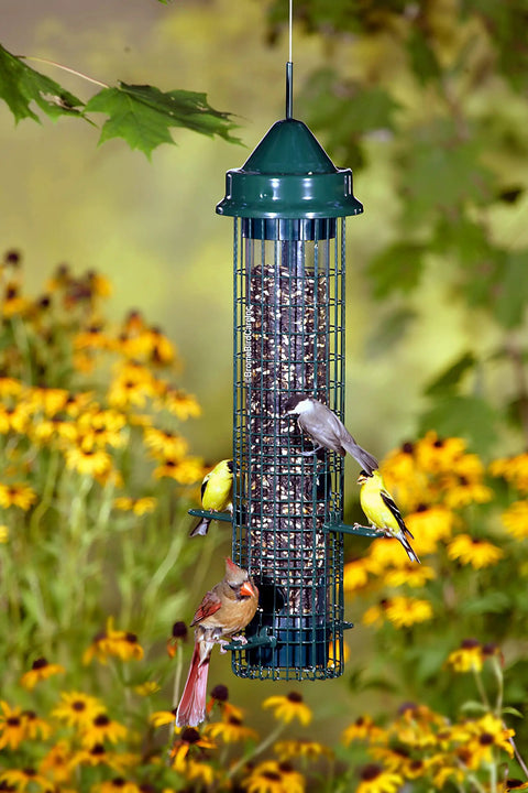 Classic Squirrel-Proof Bird Feeder With Four Feeding Ports And 2.4-Pound Seed Capacity, Weight-Activated Shield Keeps Seeds Safe