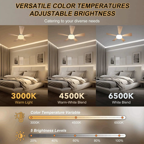 Small Ceiling Fan With Light And Remote 20.5 Inch 2 In 1 Fixture, showcasing 3 color dimmable LED bulbs in bedroom settings