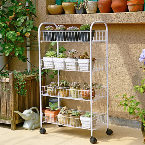 White wire shelving unit with potted succulents on 2 Inch Swivel Stem Caster Wheels for Furniture and Shelving
