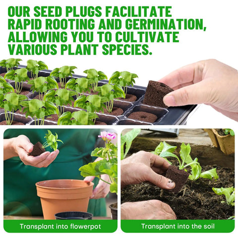 Seed Starter Plugs Pack 50 Pcs Germination Boosters With Organic Peat And Coco Coir Rooting Sponges shown in use with plants.