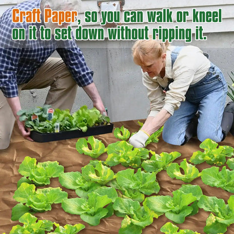 Biodegradable Paper Weed Barrier For Garden Beds Three 100 Foot Rolls installed with people planting lettuce on paper