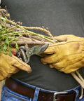 Corona BP 3180D forged bypass pruner with 1-in cutting capacity, held by brown leather gloves cutting woody stems.